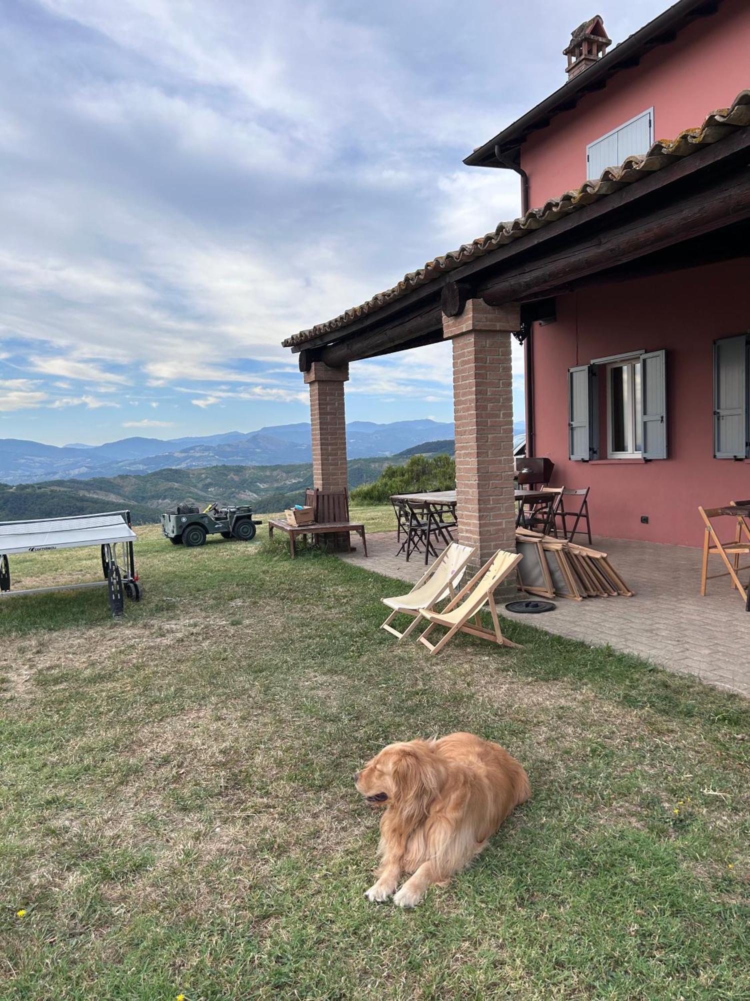 Paradiso Sulle Colline Parmensi Medesano Bagian luar foto