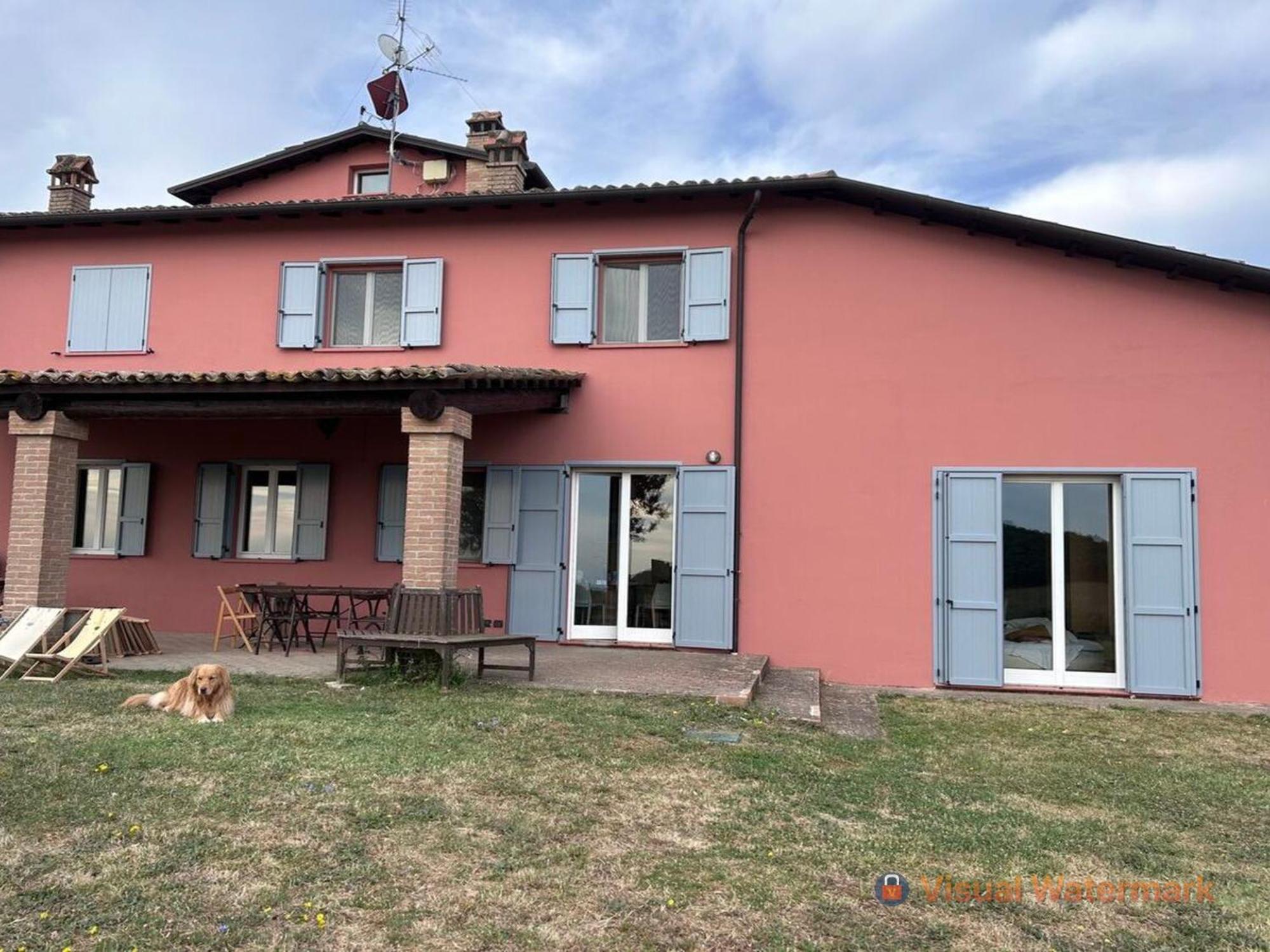Paradiso Sulle Colline Parmensi Medesano Bagian luar foto